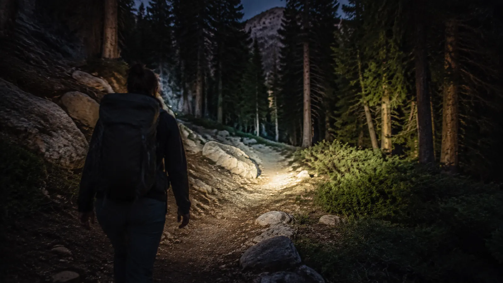 Headlamp illuminating a trail at night through dense trees
