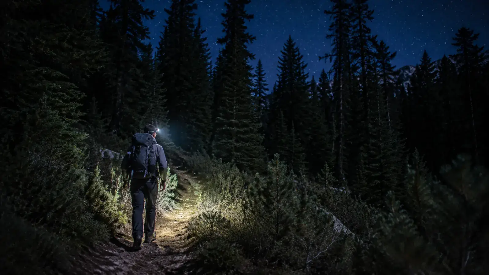 Hiker on a night trail with a headlamp beam illuminating the path through dense forest